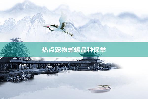 热点宠物蜥蜴品种保举