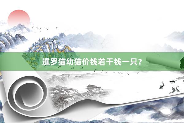 暹罗猫幼猫价钱若干钱一只？