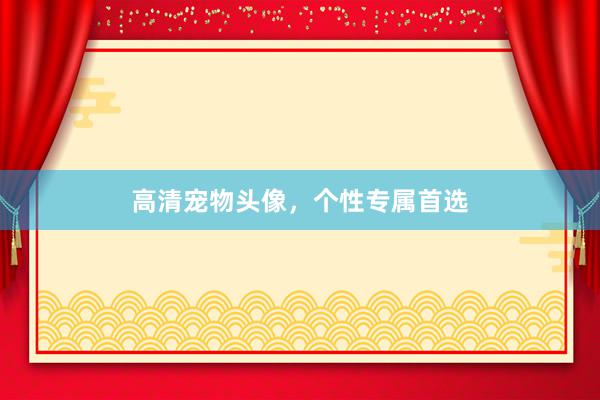 高清宠物头像，个性专属首选